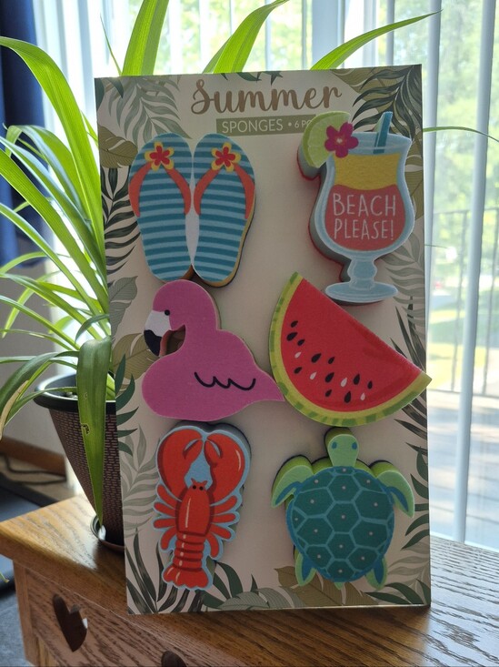 Other - Summer Beach Sponge Set - Bright Tropical Colors. BRAND NEW